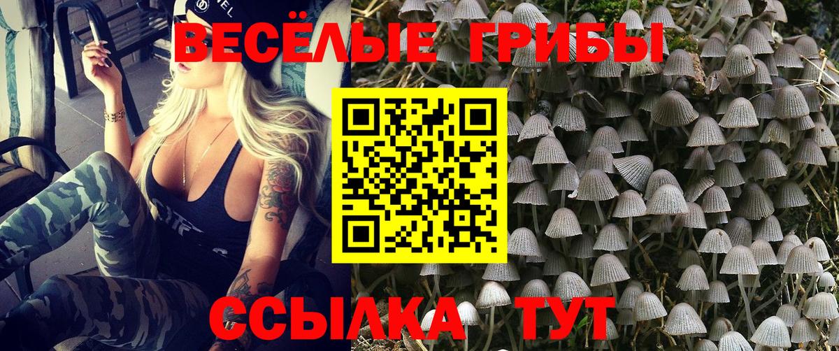 МЕФ   Гашиш  Вход с VPN  МЕТ  Меф  Отрадное  МЕТАДОН  Канабис 