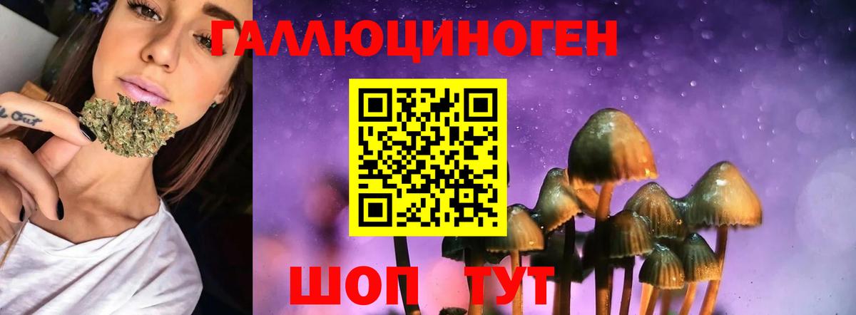 продажа наркотиков  Вход с VPN  Отрадное  Галлюциногенные грибы Psilocybine cubensis 
