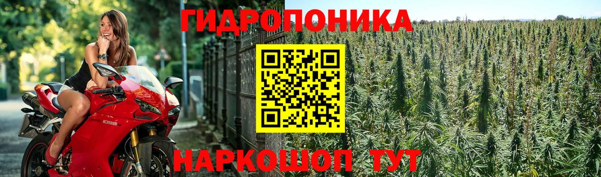 Бошки марихуана конопля  Марихуана AK-47  Вход с VPN  Отрадное 